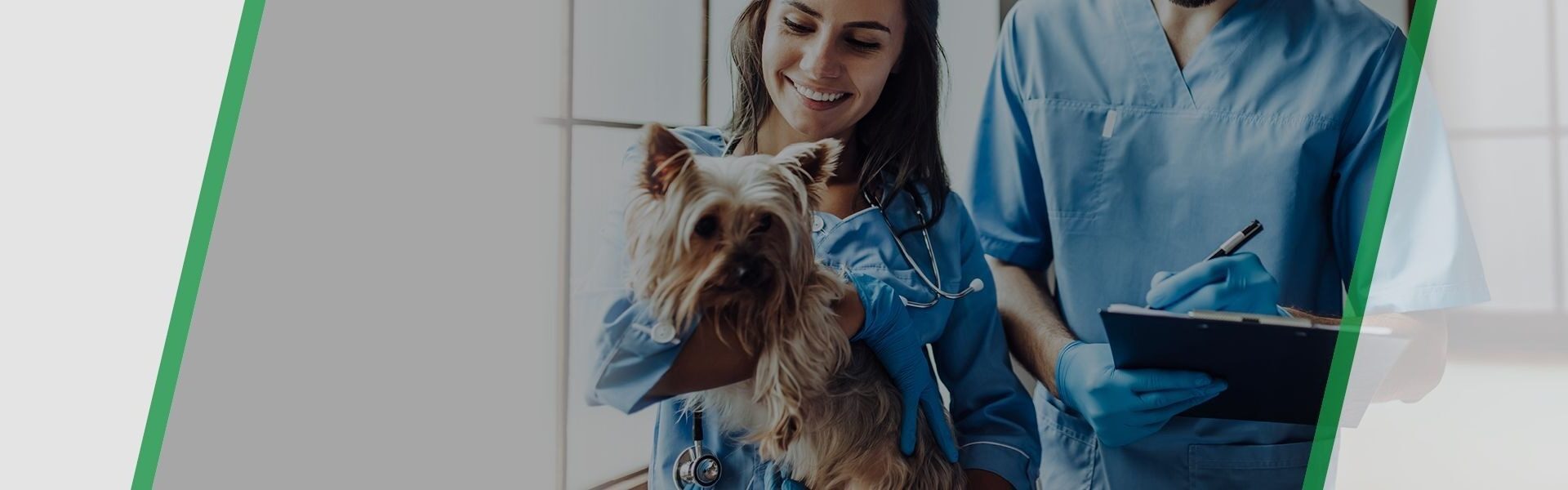 Veterinary
