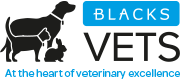 Blacks-Vets