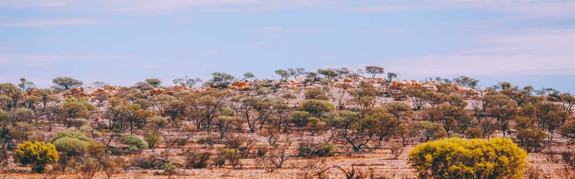 Dentist jobs in the Australian Outback