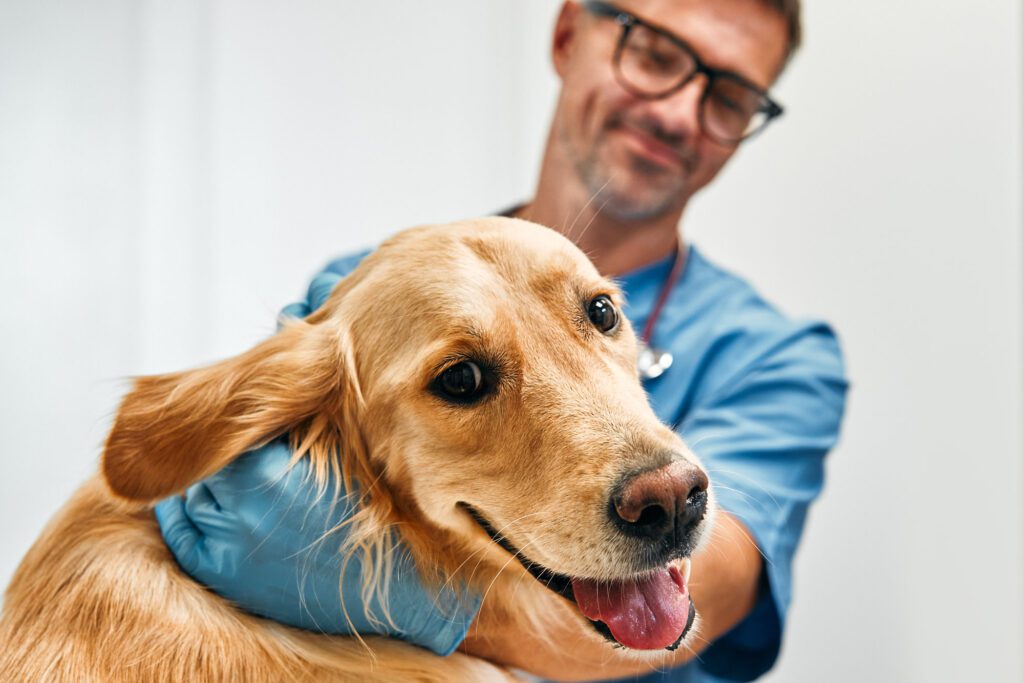 Veterinary Jobs in the UK