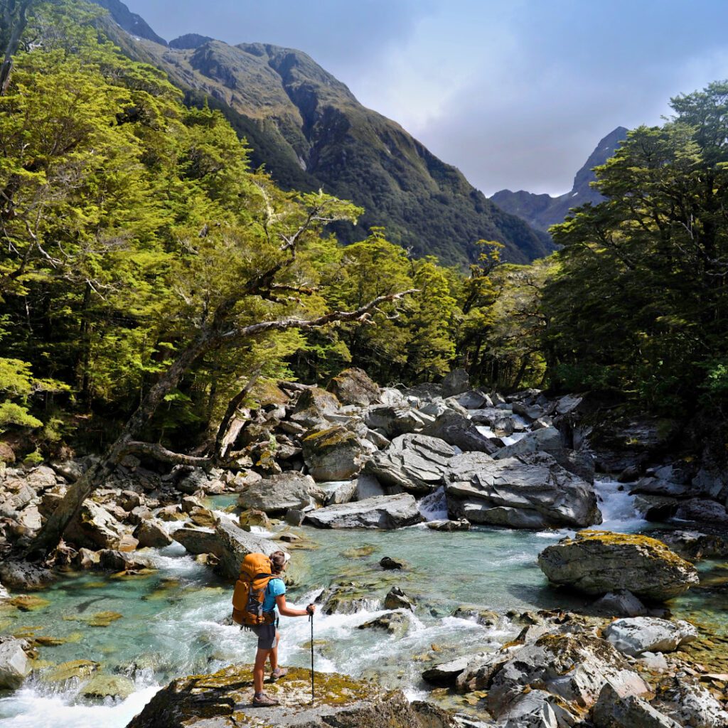 Dentist Jobs and lifestyle in New Zealand