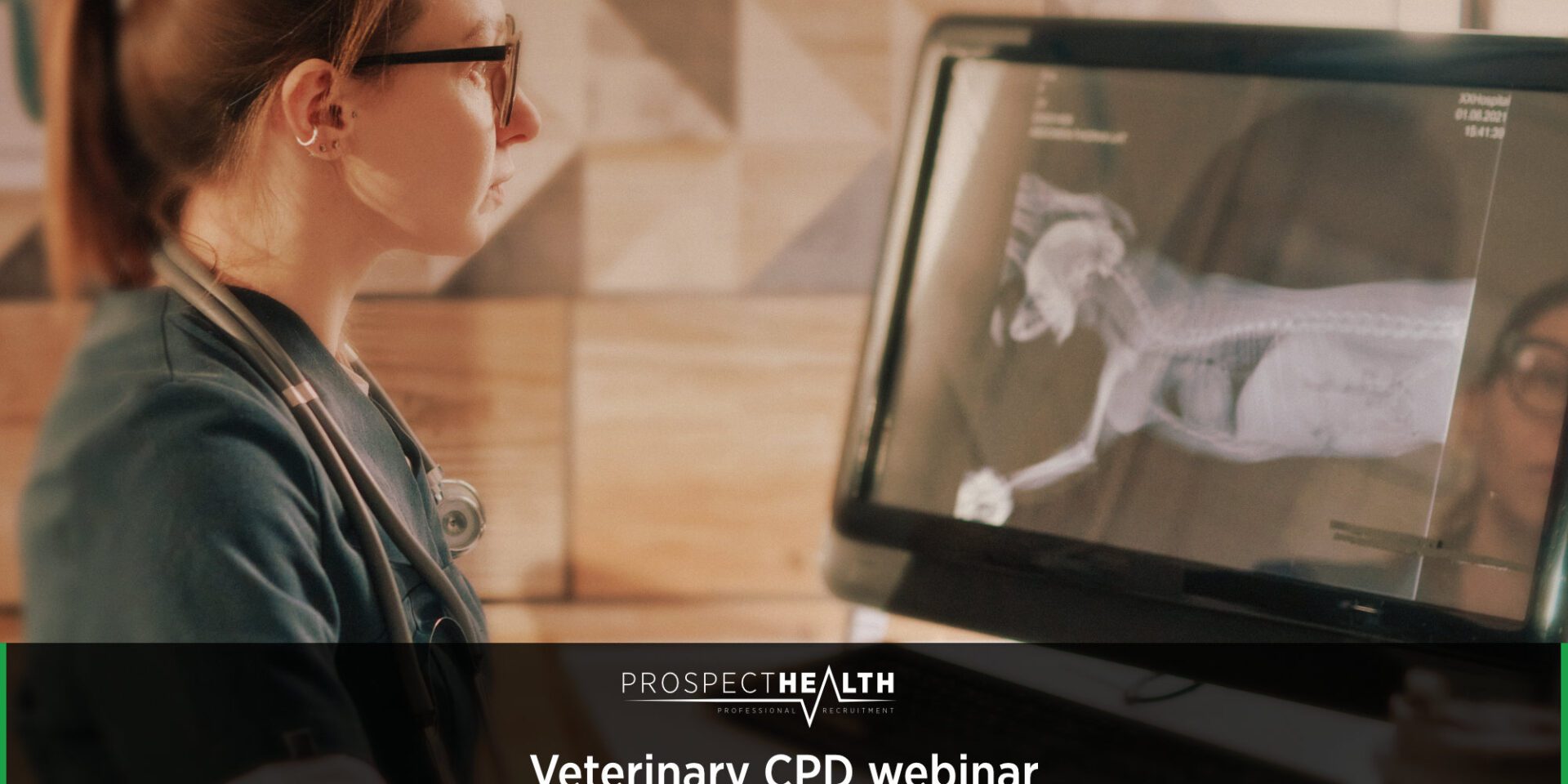 Veterinary CPD webinar - A Practical Guide to Thoracic Radiograph Interpretation for Veterinarians