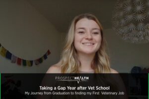 My Journey from Graduation to finding my First Veterinary Job