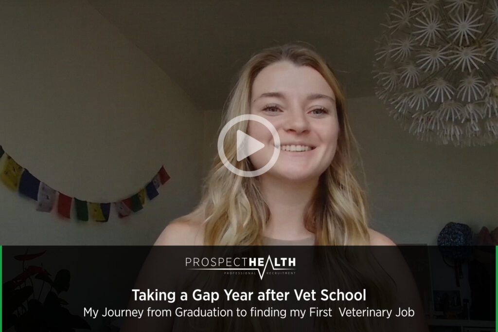 My Journey from Graduation to finding my First Veterinary Job