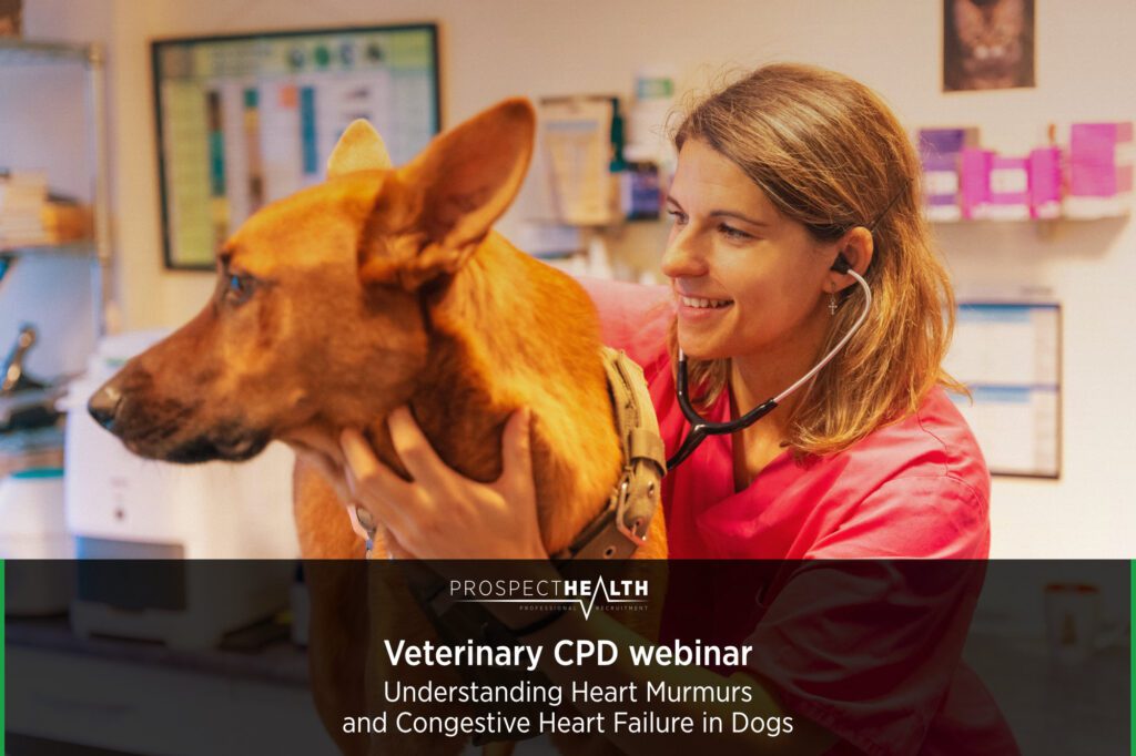 Understanding Heart Murmurs and Congestive Heart Failure in Dogs