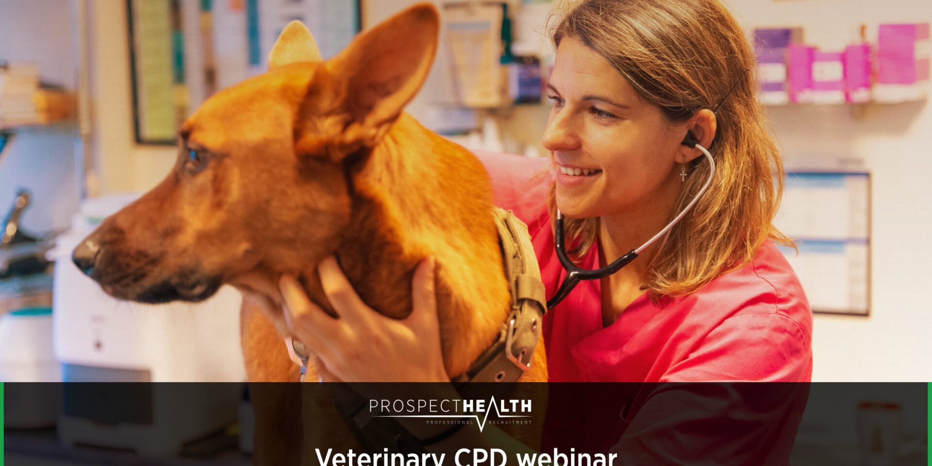 Understanding Heart Murmurs and Congestive Heart Failure in Dogs