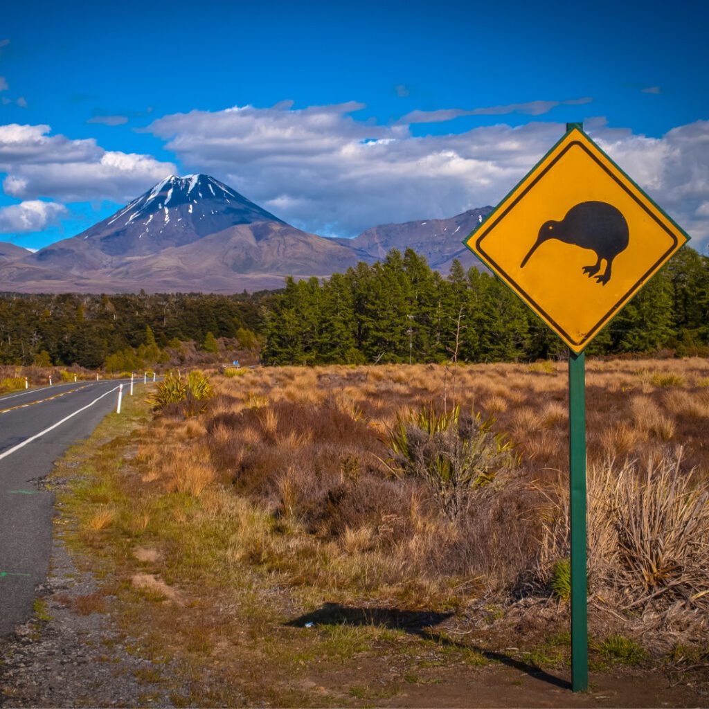 Relocate to New Zealand as a Dentist