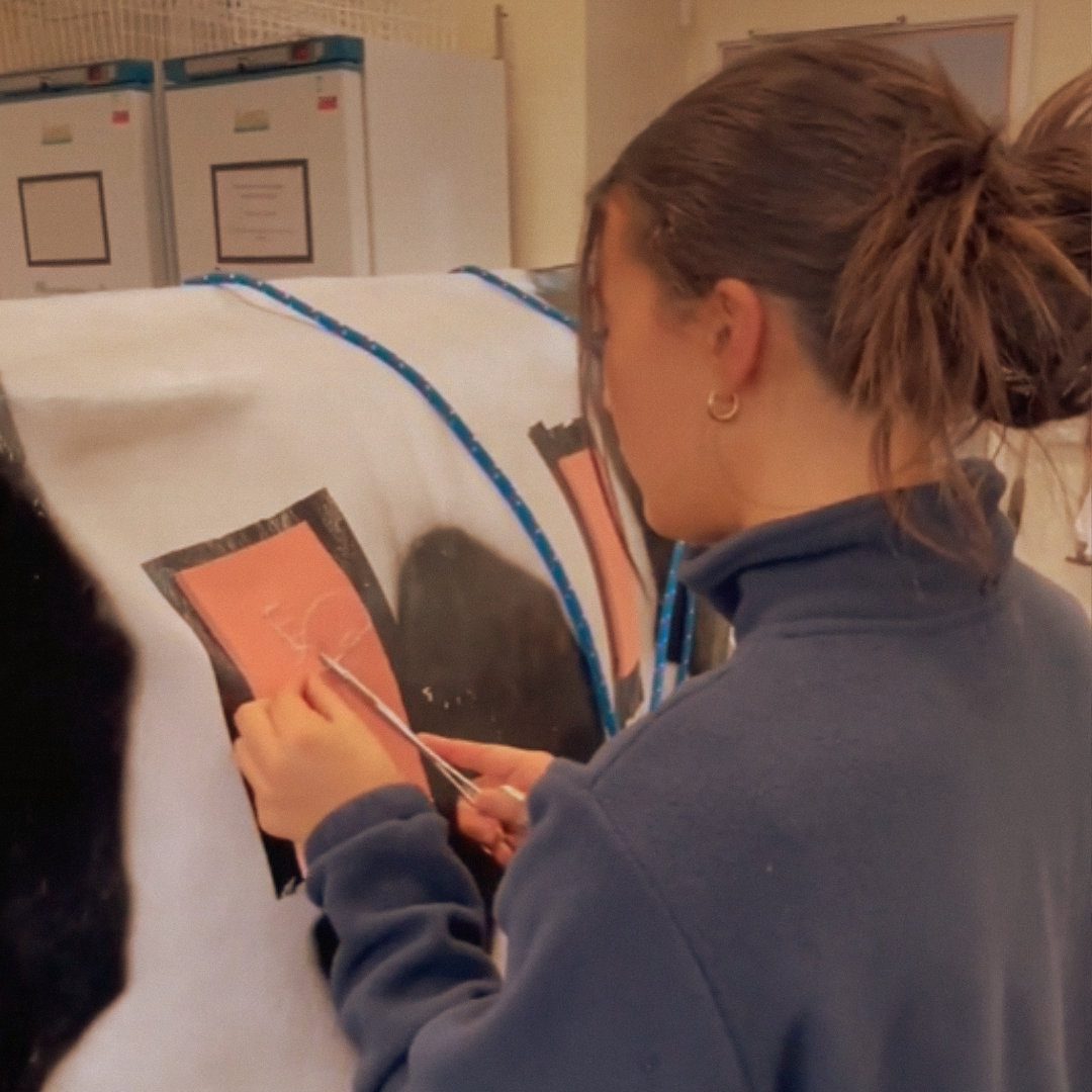 Anna Pill - Introduction to finding a graduate veterinary job