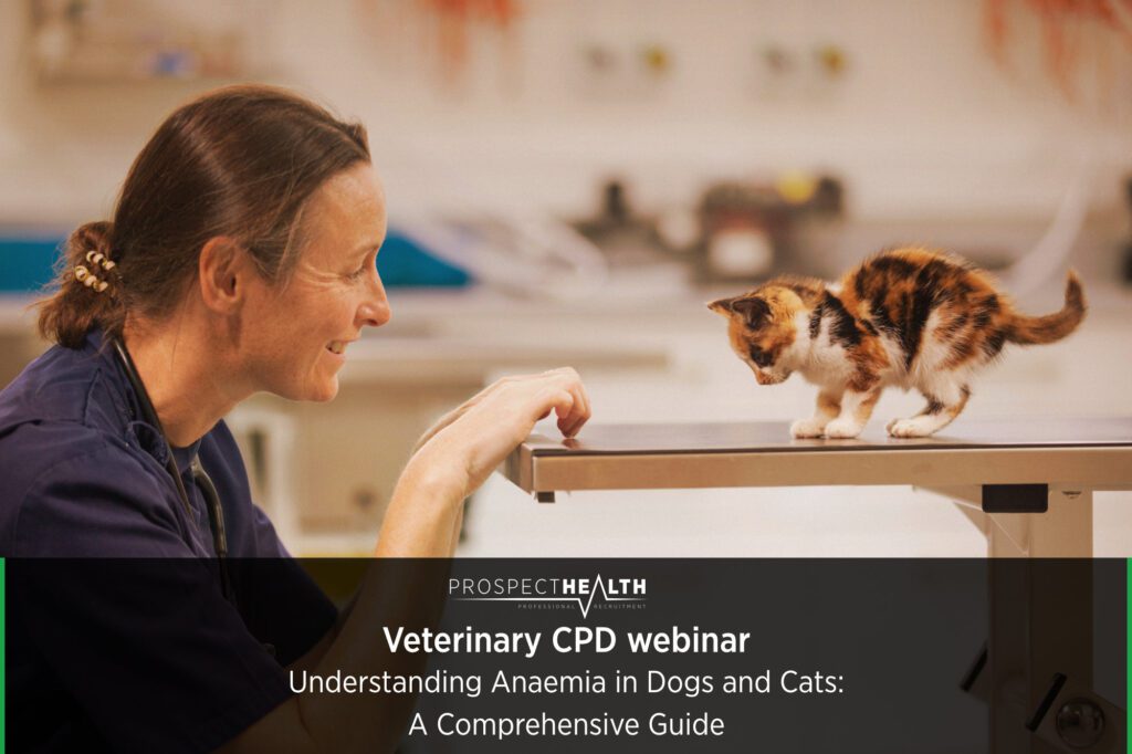 Understanding Anaemia in Dogs and Cats: A Comprehensive Guide