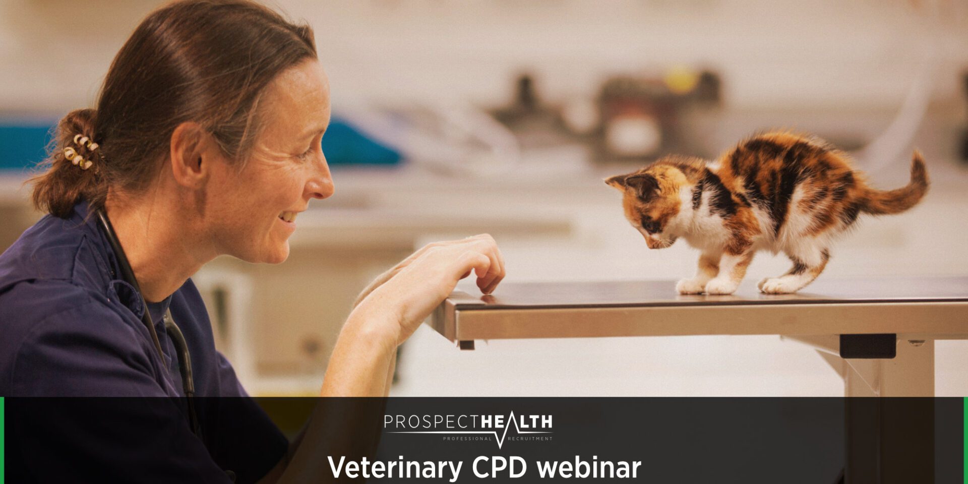 Understanding Anaemia in Dogs and Cats: A Comprehensive Guide