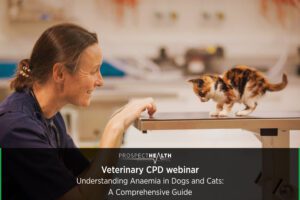 Understanding Anaemia in Dogs and Cats: A Comprehensive Guide
