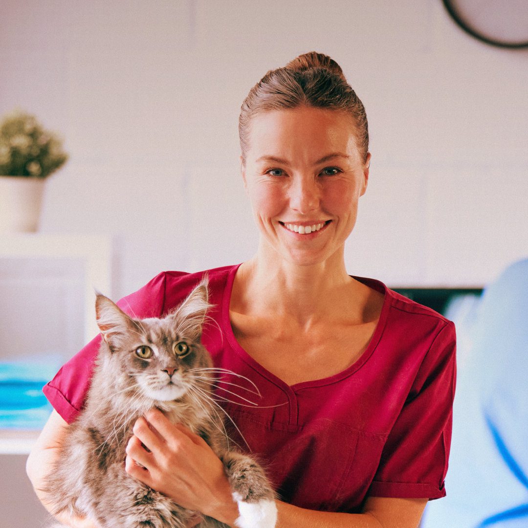 Understanding Anaemia in Dogs and Cats: A Comprehensive Guide