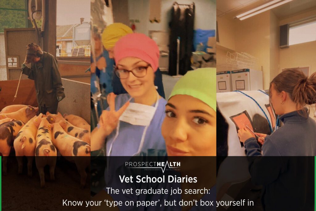 Vet School Diaries – The vet graduate job search