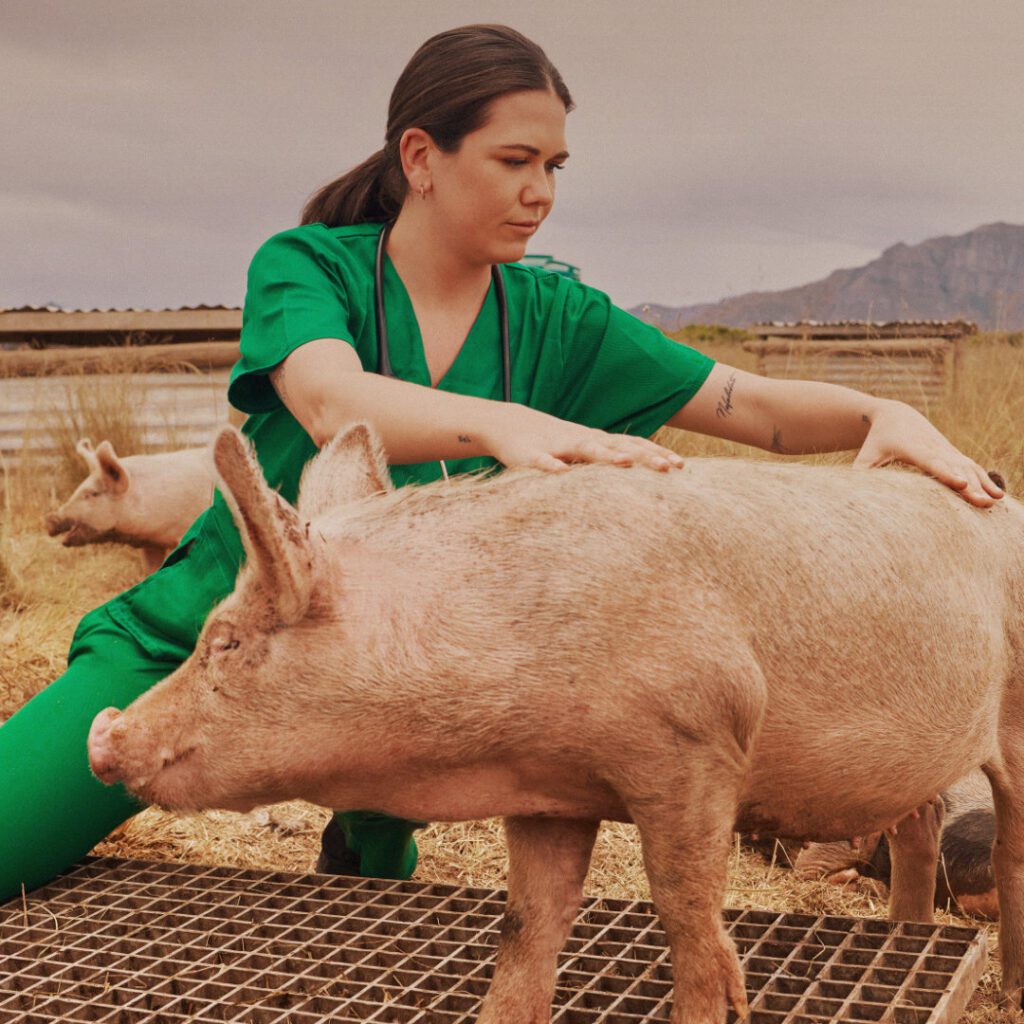 Large Animal Cardiology Basics