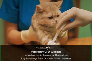 Understanding Antimicrobial Medications: Key Takeaways from Dr. Sarah Peters’ Veterinary CPD Webinar