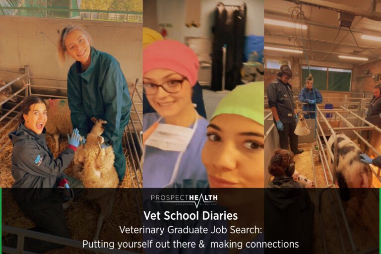 Veterinary Graduate Job Search: Putting yourself out there & making connections