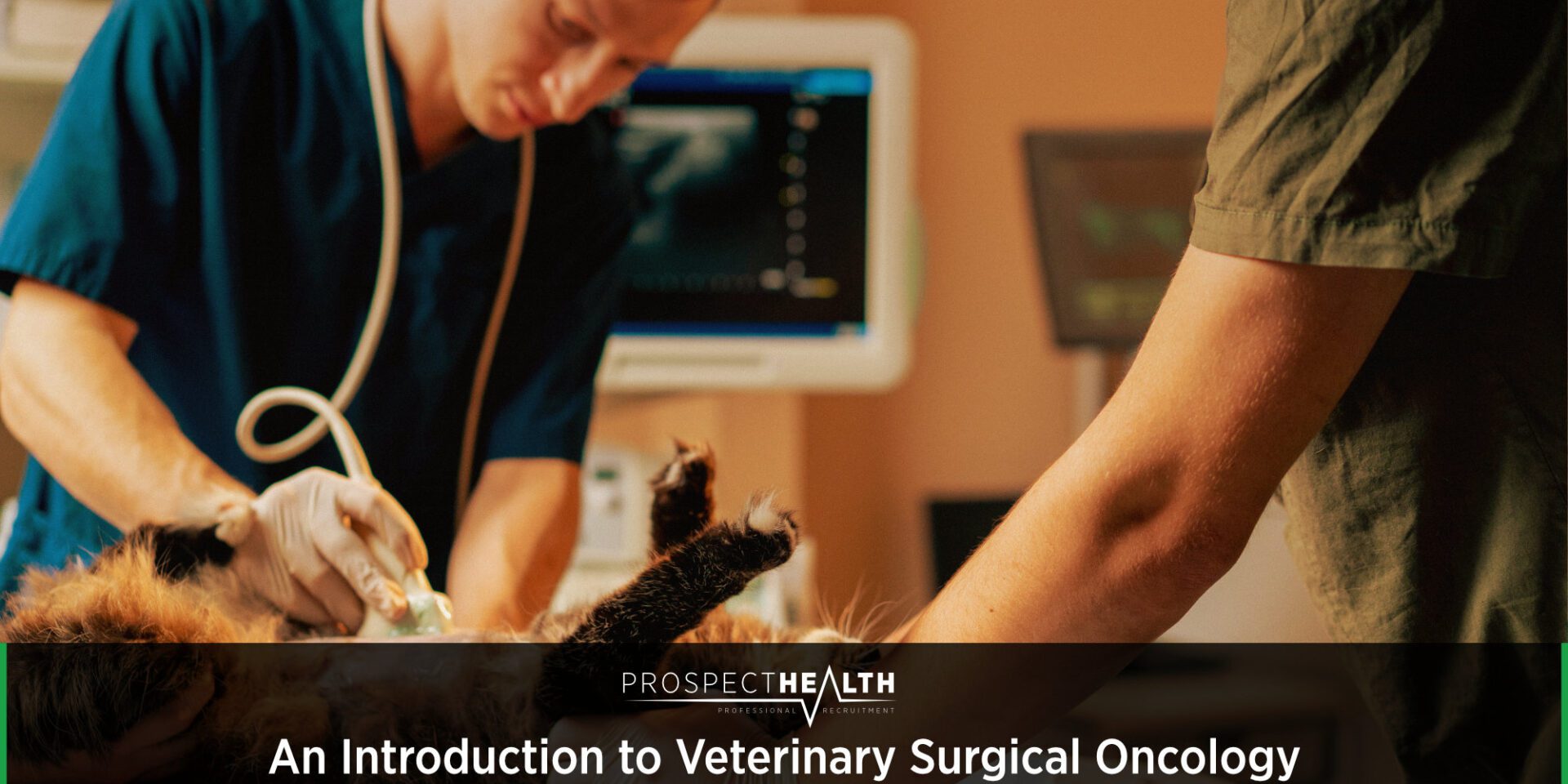 An Introduction to Veterinary Surgical Oncology