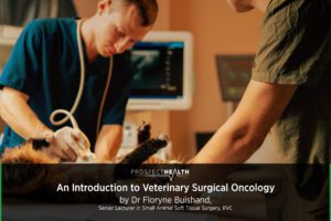An Introduction to Veterinary Surgical Oncology