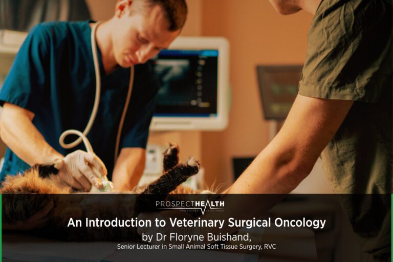 An Introduction to Veterinary Surgical Oncology
