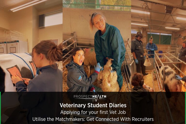 Veterinary Student Diaries - Applying for your first Vet Job - Utilise the Matchmakers: Get Connected With Recruiters