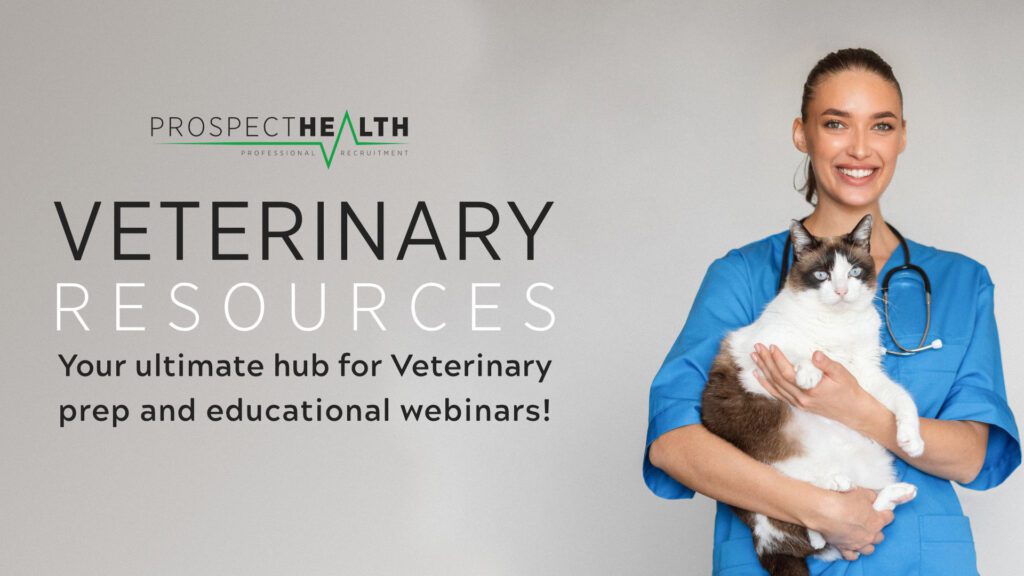 Veterinary CPD webinars – learn on demand