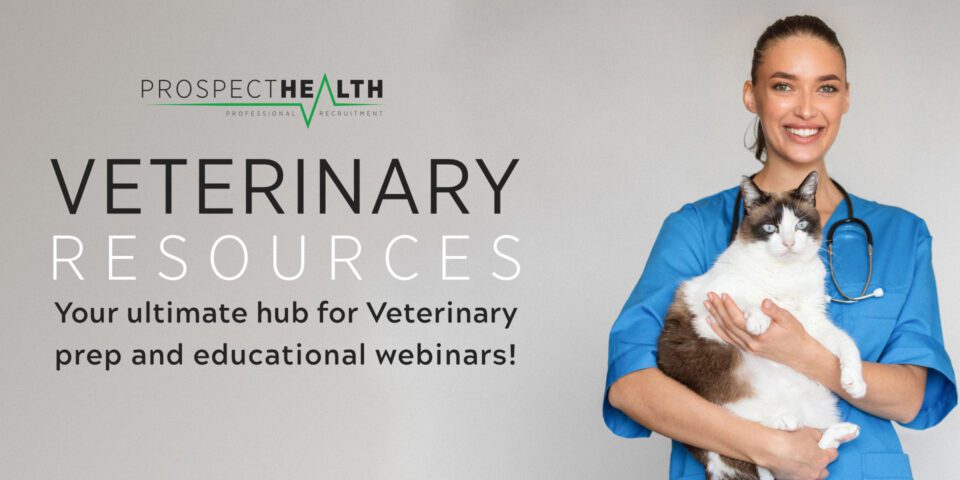 Veterinary CPD webinars – learn on demand