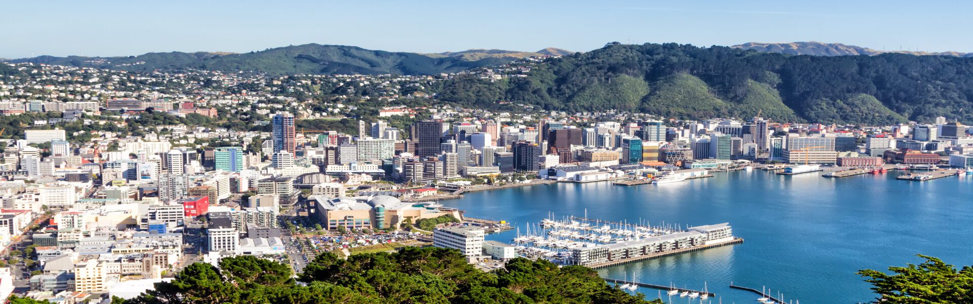 Pharmacist jobs in Wellington