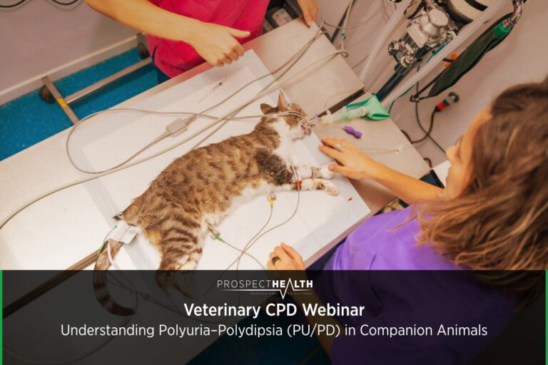 Veterinary CPD Webinar - Understanding Polyuria–Polydipsia (PU/PD) in Companion Animals