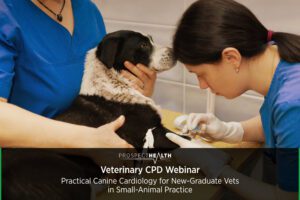 Veterinary CPD Webinar - Practical Canine Cardiology for New-Graduate Vets in Small-Animal Practice