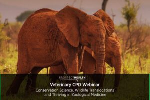 Veterinary CPD Webinar - Conservation Science, Wildlife Translocations and Thriving in Zoological Medicine