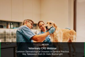 Common Dermatological Diseases in General Practice: Key Takeaways from Dr. Kate Boatwright