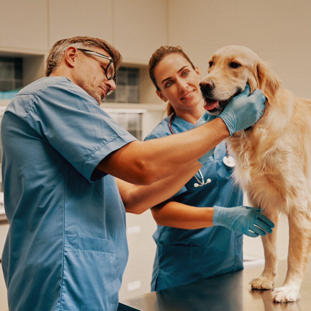 Common Dermatological Diseases in General Practice: Key Takeaways from Dr. Kate Boatwright