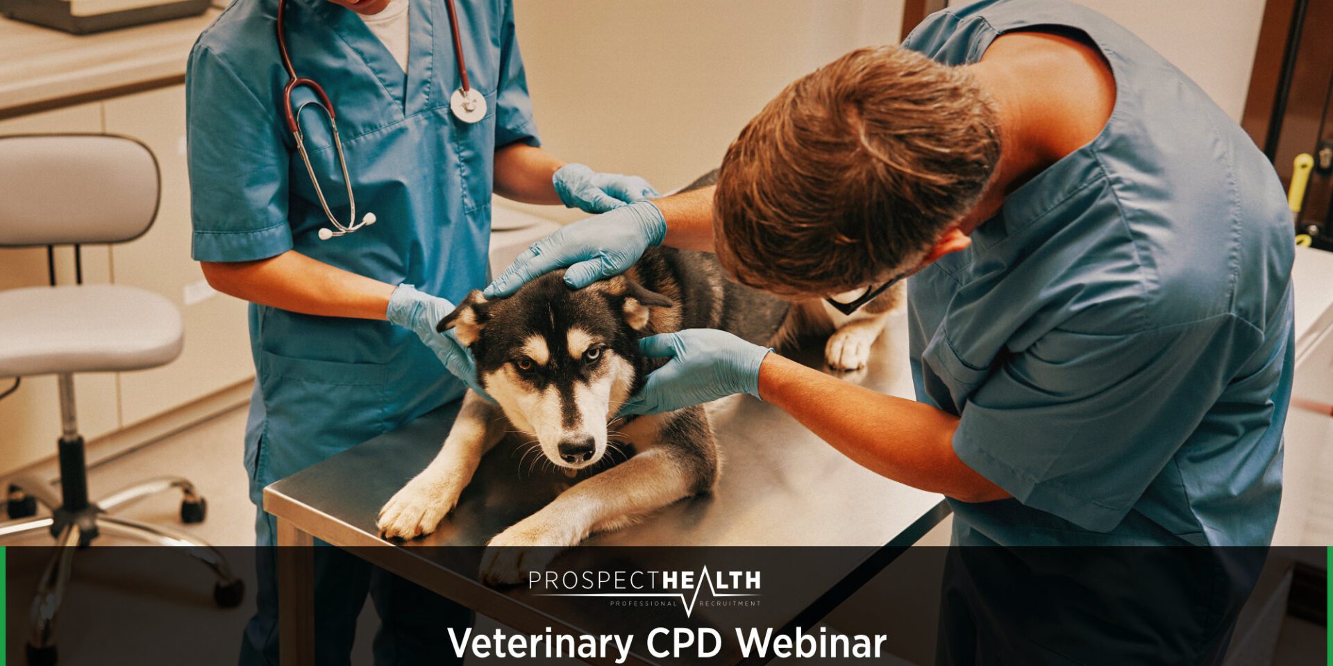 Diabetic Ketoacidosis in Dogs and Cats: Key Learning for Vet Students