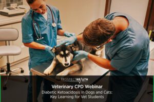 Diabetic Ketoacidosis in Dogs and Cats: Key Learning for Vet Students