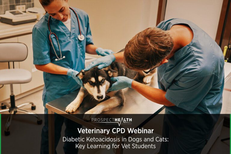 Diabetic Ketoacidosis in Dogs and Cats: Key Learning for Vet Students