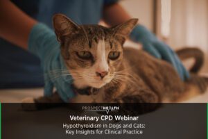 Veterinary CPD Webinar - Hypothyroidism in Dogs and Cats: Key Insights for Clinical Practice