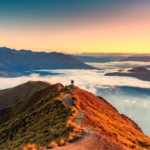 FAQs, how do I move to New Zealand as a UK trained pharmacist?