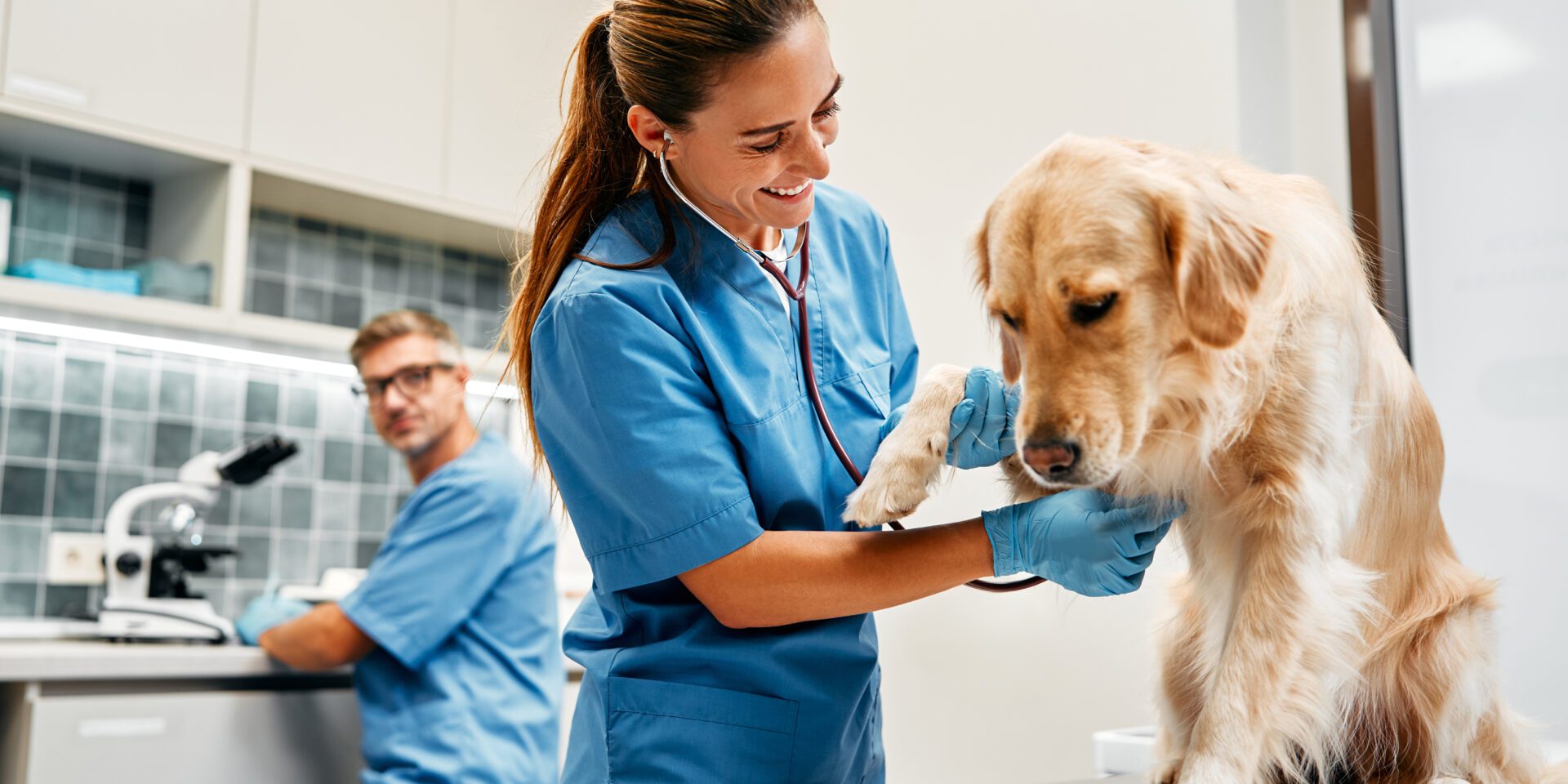 Rabies: A Must-Know for Vet Students & New Grads
