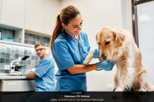 Rabies: A Must-Know for Vet Students & New Grads