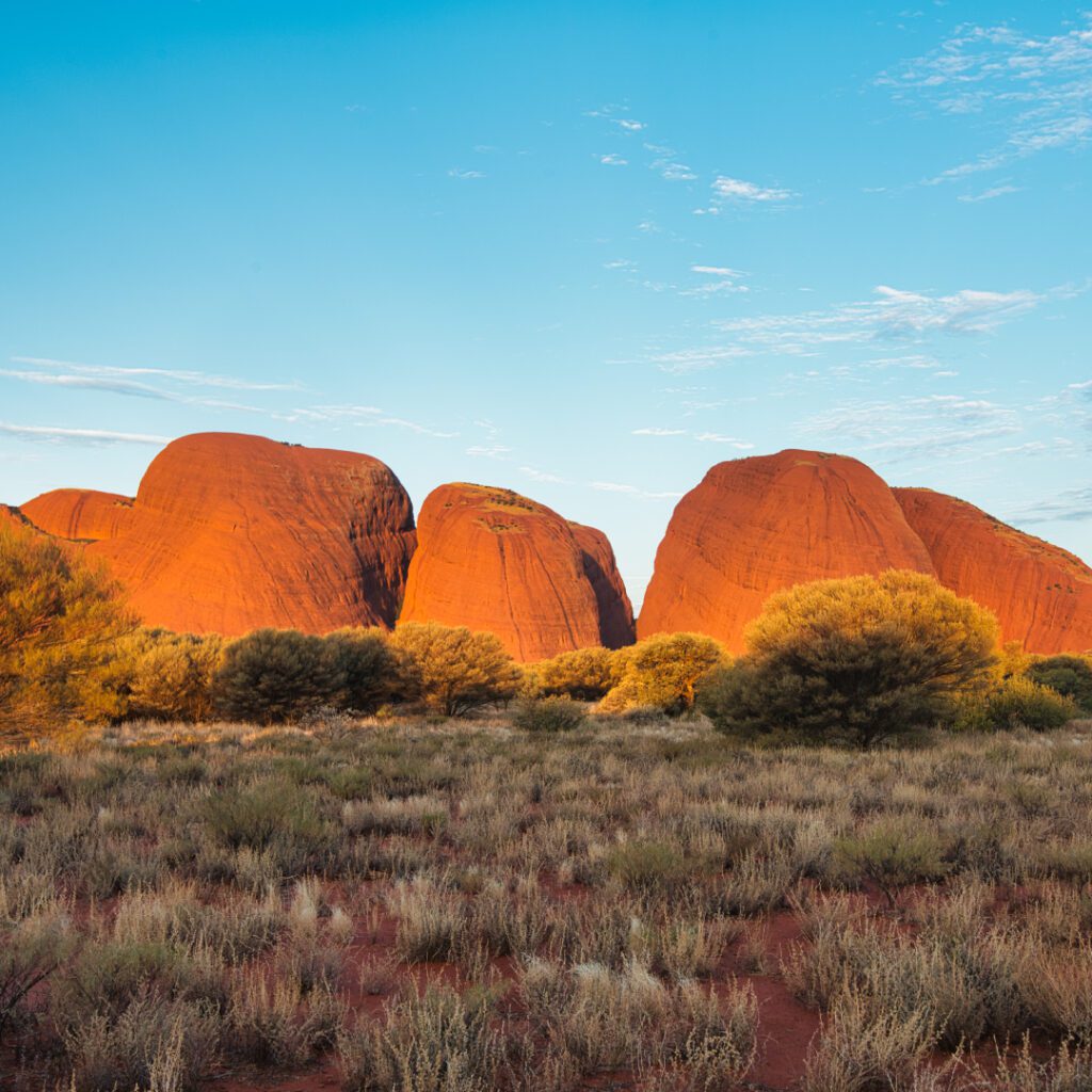 What Are the Licensing and Work Permit Options to Move to Australia as a Dentist?