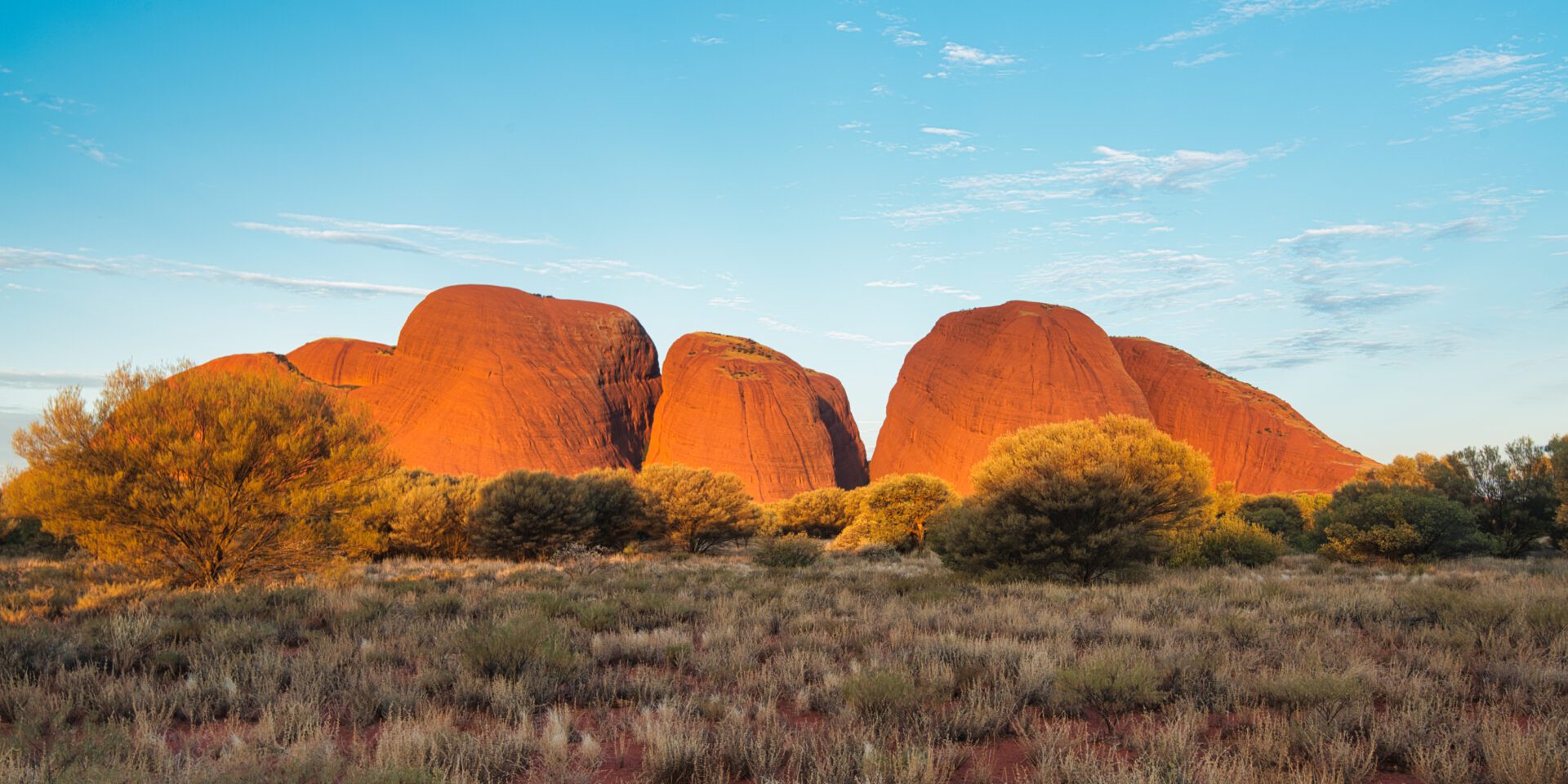 What Are the Licensing and Work Permit Options to Move to Australia as a Dentist?