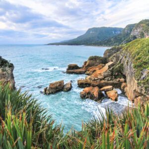 What Are the Licensing Options to Work as a UK Pharmacist in New Zealand?