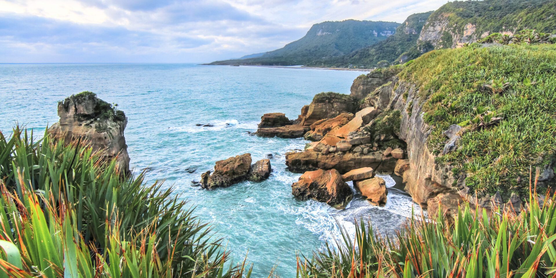 What Are the Licensing Options to Work as a UK Pharmacist in New Zealand?