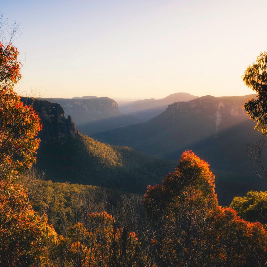 What Are My Schooling Options If I Am a UK Dentist Moving to Australia With My Family?