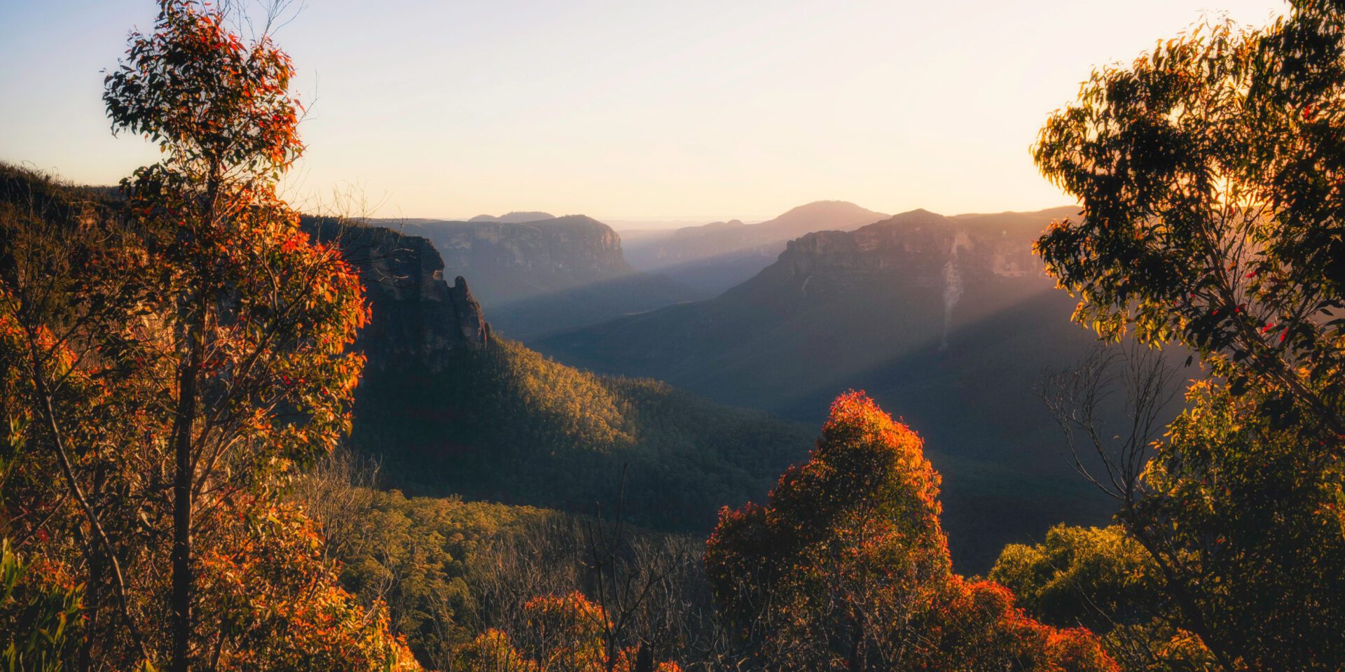 What Are My Schooling Options If I Am a UK Dentist Moving to Australia With My Family?