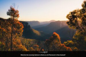 What Are My Schooling Options If I Am a UK Dentist Moving to Australia With My Family?