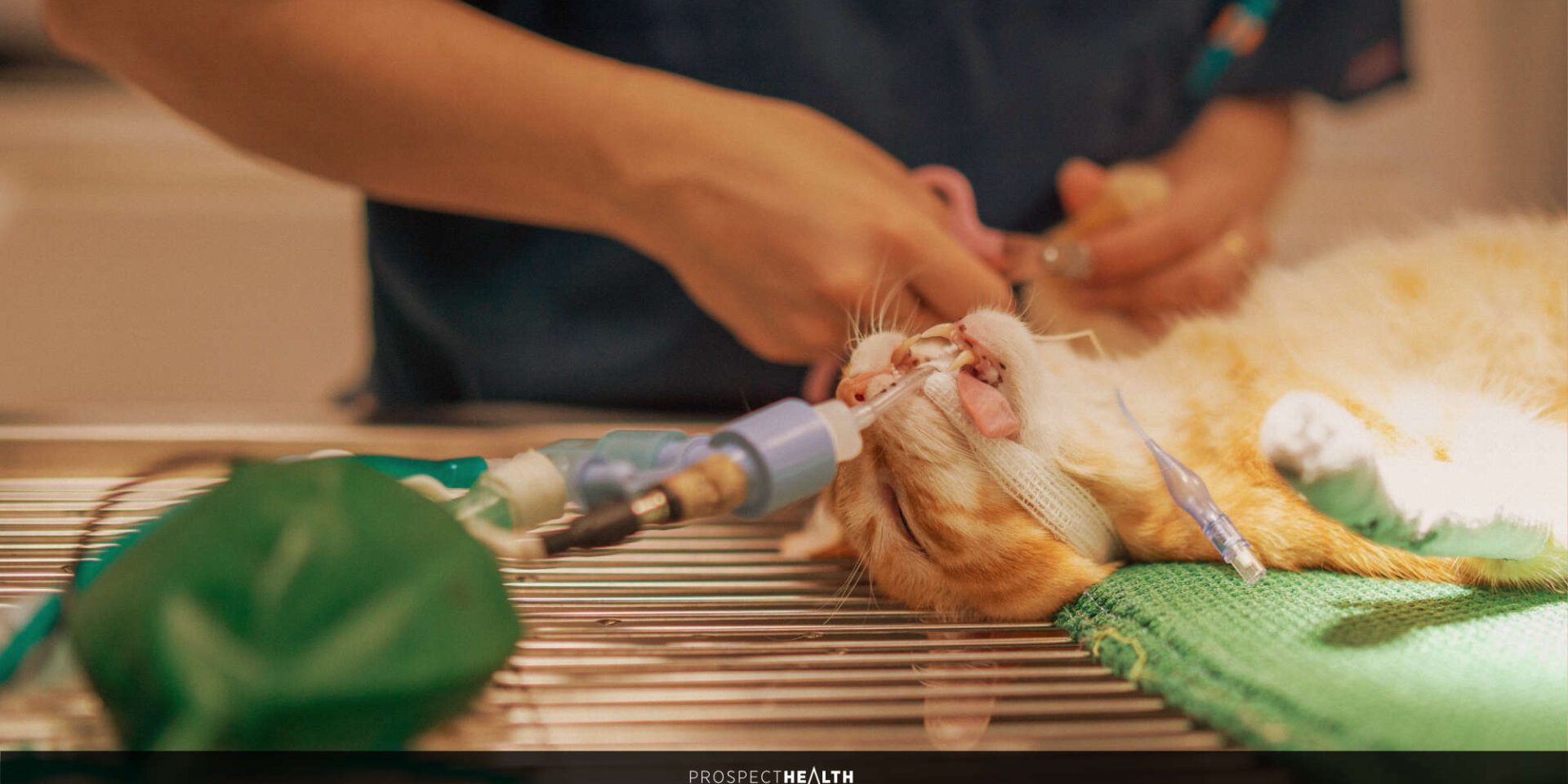 Monitoring General Anaesthesia: What You Actually Need to Know