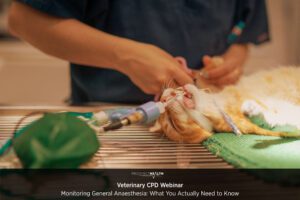 Monitoring General Anaesthesia: What You Actually Need to Know