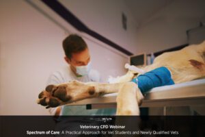 Spectrum of Care: A Practical Approach for Vet Students and Newly Qualified Vets