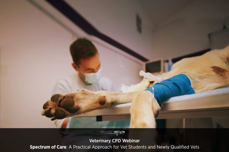 Spectrum of Care: A Practical Approach for Vet Students and Newly Qualified Vets